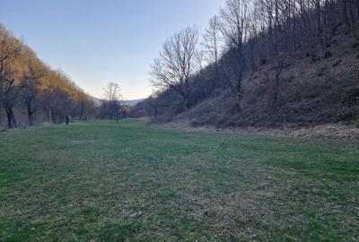 Spațiu comercial, în Hărțăgani - 13