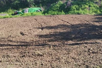 Teren de 1500 mp, în Stoenești - 2