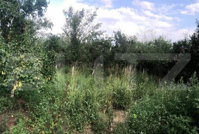 Casa individuala cu 4 camere, teren 2906 mp, la 3 km de Gaes - 2