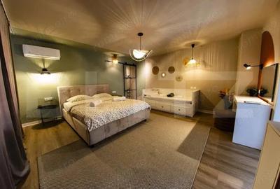 Casa de vanzare, 105 mp, 650 mp teren, zona Cetate - Ultracentrala - 3