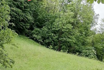 Vand casa de vacanta in Prahova Vand casa de vacanta in Prahova - 3