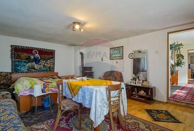 Casa / Vila cu 2 camere de vanzare in zona Vest - 11