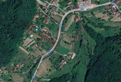 Casa si 3919 mp teren intravilan  in  Bucuresci, jud. Hunedoara - 11