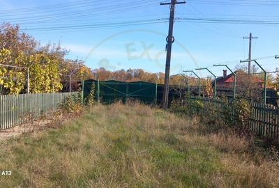 0% COMISION!!! CASA CU LAC IN INIMA PADURII  - DEALU BRADULUI - 16