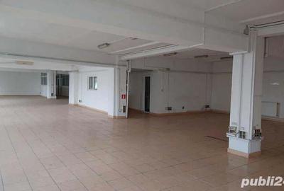 Inchiriere Birouri, Hale Productie, Depozite de la 0,8 euro la 3 euro - 3