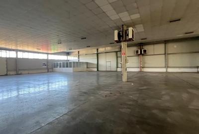 Hala 1400 pentru depozitare sau productie Hala 1400 pentru depozitare sau productie - 17