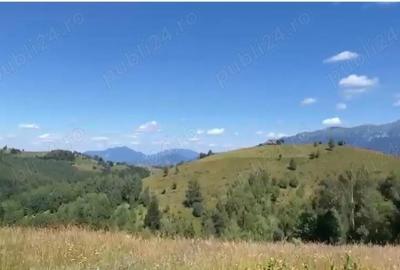 Teren de 46050 mp, în Șirnea - 3
