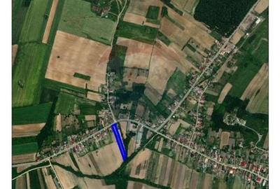 Casa de vanzare cu teren de 3000mp, sat Pagaia, Bihor - 8