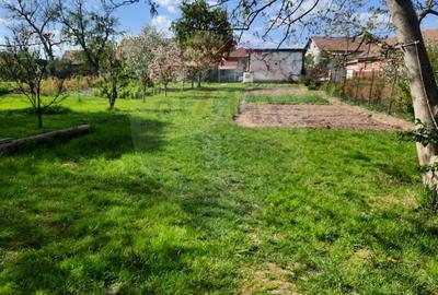 Casă individuală cu 2 camere cu Teren 1836 Mp în Beclean - 4
