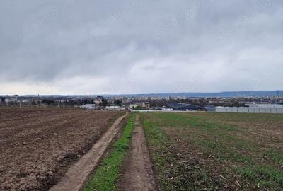 Teren de 10000 mp, în Vest - 9