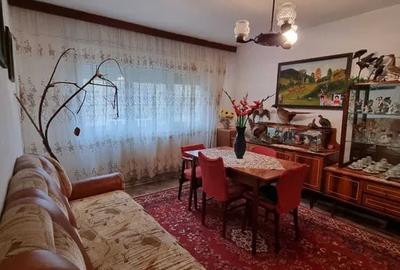 Apartament cu 2 camere semidecomandat, mobilat în Brazda lui Novac