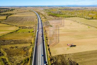 Teren Construcții extravilan de 31700 mp, în Uliești - 11
