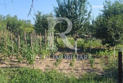 Casă cu 3 camere în Picleu - 2