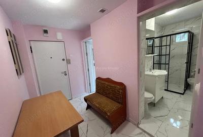 Apartament cu 2 camere semidecomandat în Moroasa 2 - 10