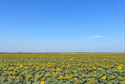 Preluare Teren in arenda - 1