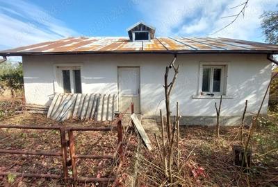 Casă cu 3 camere cu Teren 496 Mp în Vest