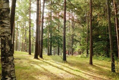 DE VANZARE Pensiune | 12 camere | Bisoca / Buzau - 14