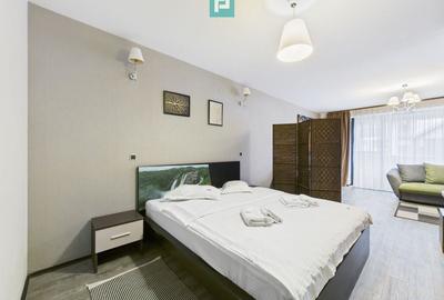 Proprietate premium Silver Mountain Resort - 8