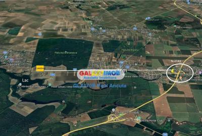 Teren 14000 mp la Dj Moara Vlasiei Gradistea latura Padure - 2