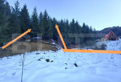 Teren Colibita, 1120 mp - 3