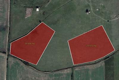 Teren Construcții intravilan de 26606 mp, în Săcălaz - 2