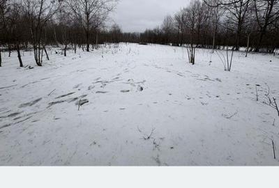 Teren de 5000 mp, în Polovragi