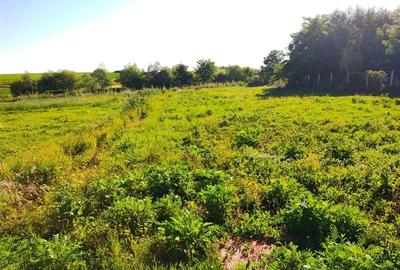 Teren 18.247 mp cu balta de pescuit  Misca, Comuna Chislaz, Bihor - 10