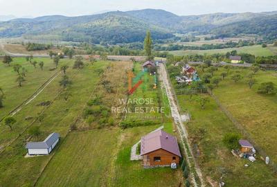 Teren Investitie- 1730 mp-Cabana construita 60 mp - 19