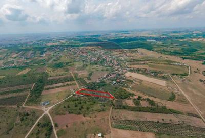 De vanzare Teren 3995mp intravilan Saldabagiu de Munte - 4