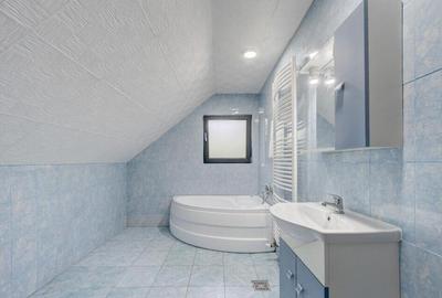 Casa de Maneciu Pamanteni, singur curte - 6