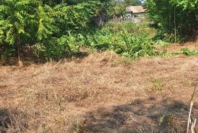 Urgent casa de vinzare Urgent casa de vinzare - 4