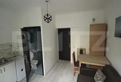 Garsonieră decomandată în Gruia - 1