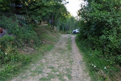 Casă cu 1 camere în Fericet - 4
