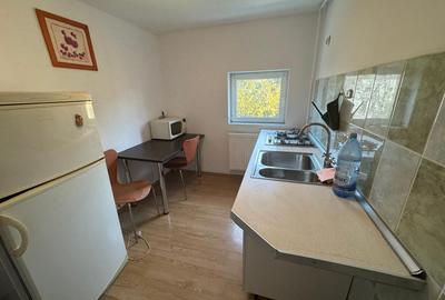 Inchiriere apartament doua camere mansarda vila D+P+1+M Cotroceni - 9