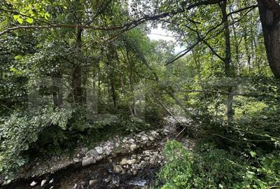 Teren de 14000 mp, în Debarcader