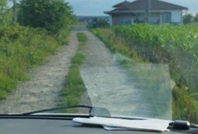 Catalina, 39 ari teren - 1