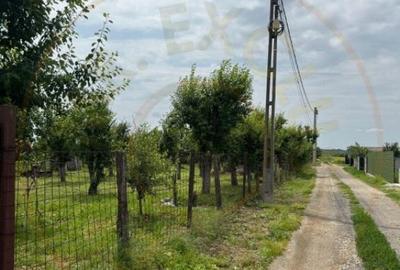 Teren Intravilan - Str. Gorganu, Calinesti - 1268 mp! - 11