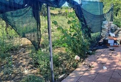 Zetari, str. ND Cocea Zetari, str. ND Cocea - 3