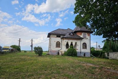 Casă cu 7 camere cu Teren 2800 Mp în Poienarii Burchii - 6