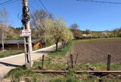 Spațiu comercial, în Micești - 2