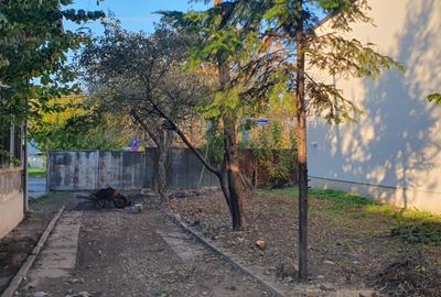 Casa Ploiesti-Toma Ionescu - 3