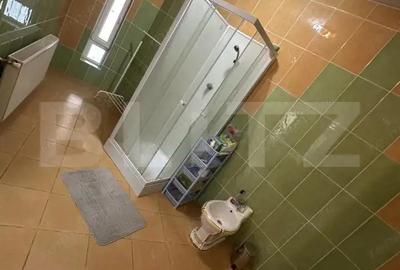 Casa tip P+M,4 camere,240mp,zona Aurel Vlaicu - 10