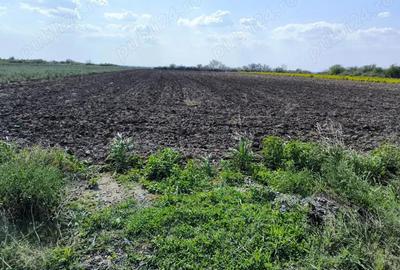 Teren intravilan Vadu-Pasii - 3