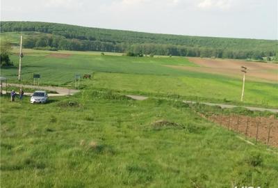 Casă cu 6 camere cu Teren 5000 Mp în Baldovinești