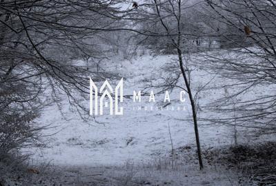 Teren Construcții intravilan de 20000 mp, în Dângești - 4