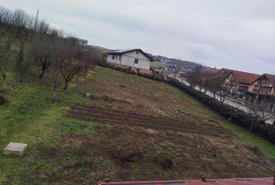 Spațiu comercial, în Badon - 3