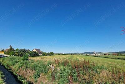 Teren în Criș - 2