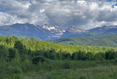 Teren  de vanzare -PUZ aprobat | 860 mp |  Valea Avrigului - 3
