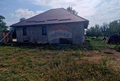 Oaza de liniste: casa cu livada si teren generos - Girov - 37
