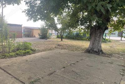 Vand casa caramida Peciu Nou - 5